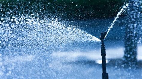 Is Austins Winter Weather Causing Damage To Your Sprinkler System