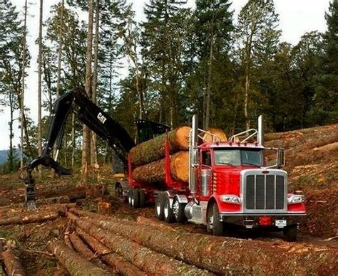Peterbilt 389 Logging Truck Big Rig Trucks Semi Trucks Cool Trucks