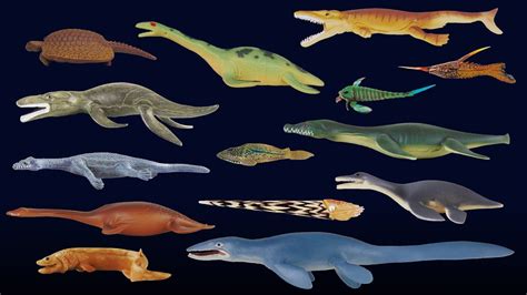 Prehistoric Sea Life 2 - Mosasaurus, Frilled Shark & More - The Kids