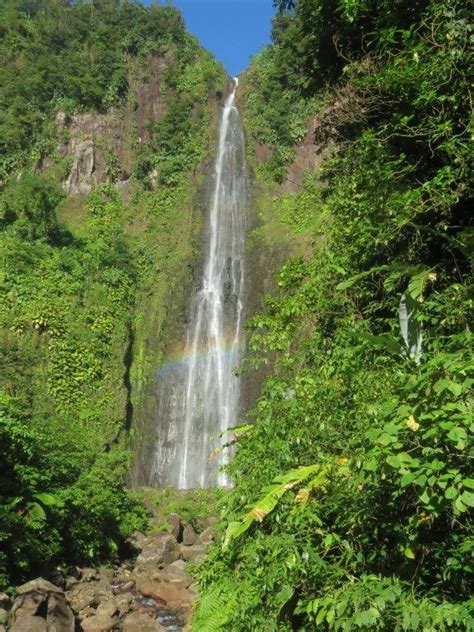 Carbet Falls Easy Hiking Trails