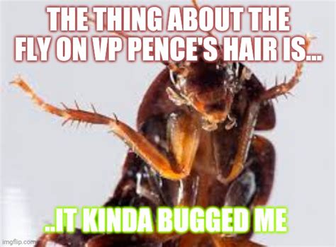 Pence Fly Imgflip
