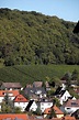 Bad Bergzabern, Rhineland-Palatinate, Germany