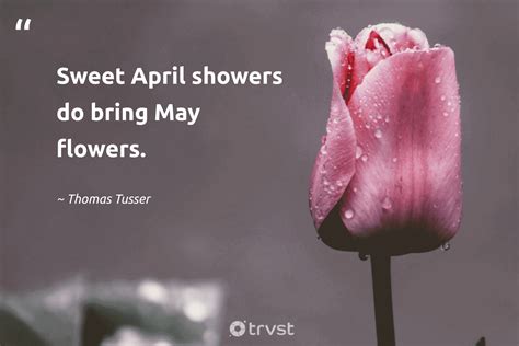 April Quotes And Sayings For Calendars