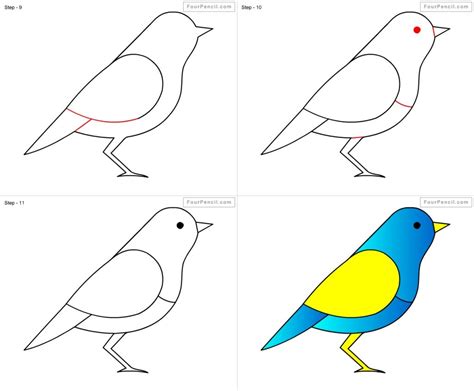 How To Draw A Bird Step By Step Easy With Pictures Bird Drawing For