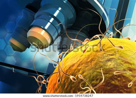 Microscope Sperm Egg Cells 3d Illustration Stock Illustration 1959738247 Shutterstock