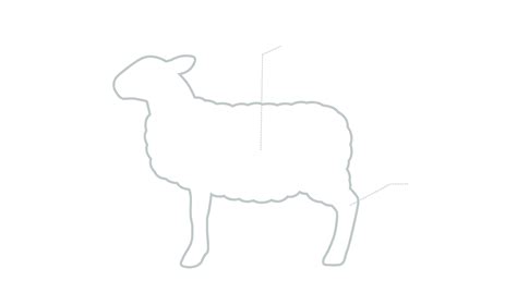 LAMB/KID PRODUCTS – Voras