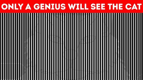 Optical Illusions Test Shows Your Eyes Play Tricks On You Youtube