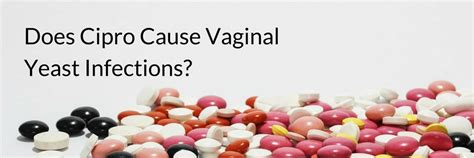 Does Aloe Vera Cure Yeast Infection Lets Beat Vaginal Yeast