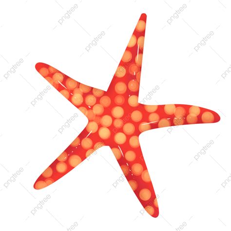 Gambar Bintang Laut Lautan Laut Mil Laut Png Transparan Clipart Dan