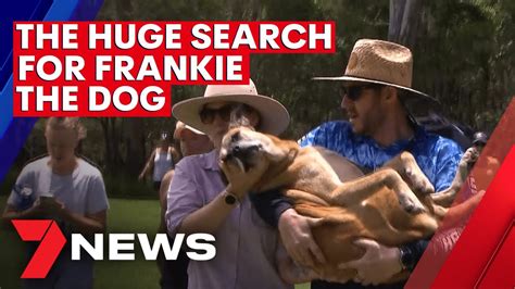 Young Couples Dog Frankie Found By Community 7news Youtube