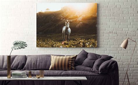 The Best Image Quality And Size For Canvas Printing