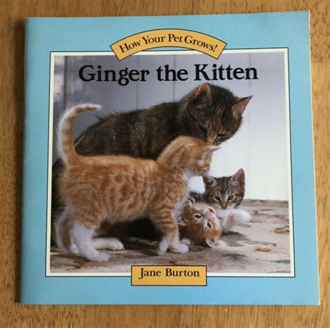 Ginger The Kitten By Jane Burton 1988 First American Edition How Your