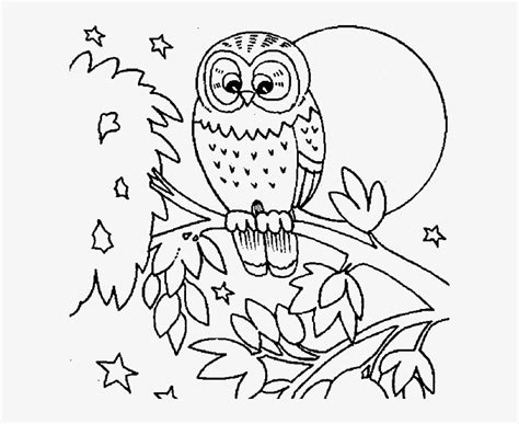 Free large eye owl coloring page to download or print, including many other related owl coloring page you may like. Cute Owls Coloring Pages - Coloring Home