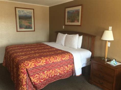 It's not just about writing what happens on the screen, the review goes deeper than that. EXECUTIVE INN AND SUITE BEESVILLE $45 ($̶5̶4̶) - Prices ...