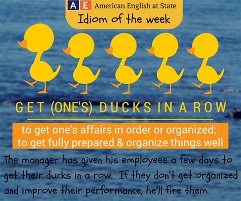 Idiom Get One S Duck In A Row English Vocabulary Pinterest