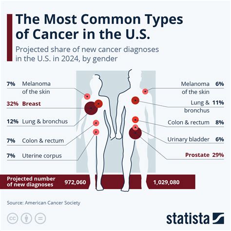 Chart The Most Common Types Of Cancer In The Us Statista