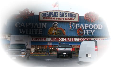Fresh Seafood Daily | Captain White Seafood | Captain White | Fresh seafood, Seafood, Jumbo crab
