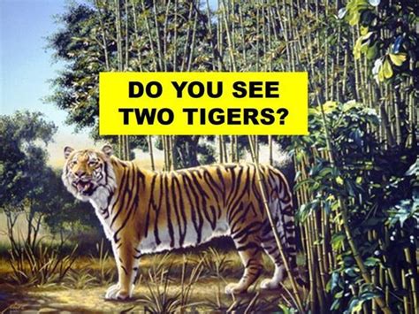 Optical Illusions Brain Teasers Optical Illusions For Kids Optical