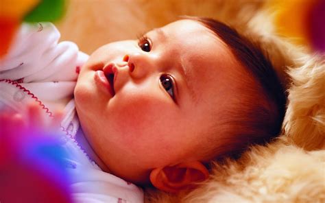 Cute Babies High Resolution Wallpapers Newly Born 0 2