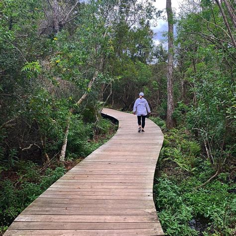 8 Unique Hikes In Florida To Add To Your Summer Bucket List Hiking In