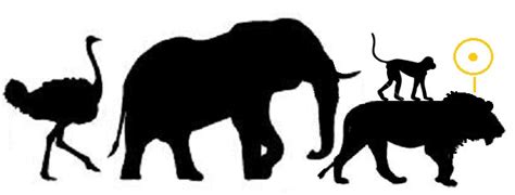 A free (for personal use) vector pack featuring african animal silhouettes, symbols and weapons. 8 African Animal Silhouettes Vector Images Free Images ...