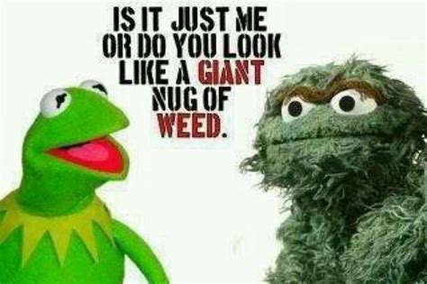 Kermit Says Oscar Looks Like A Nug Of Weed Too Funny