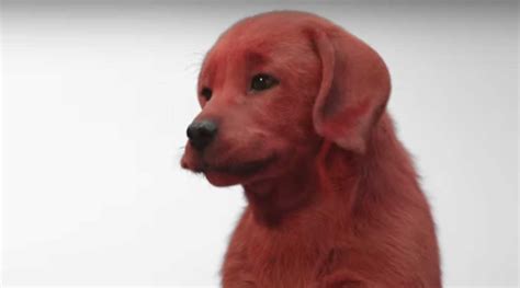 Watch the first trailer for 'clifford the big red dog': The First Look at the 'Clifford the Big Red Dog' Movie Is ...