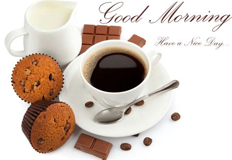 Good morning video download for whatsapp. Good morning photos download free HD WhatsApp sms ...