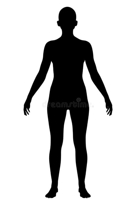 Front View Women Standing Naked Stock Illustrations 62 Front View