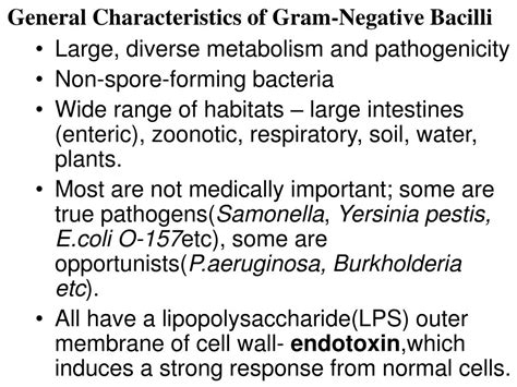 Ppt Chapter 20 The Gram Negative Bacilli Of Medical Importance