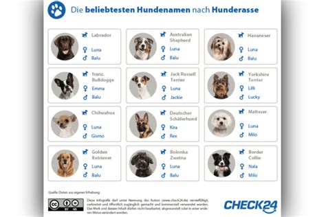 Das Sind Die Beliebtesten Hundenamen In Deutschland