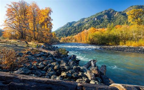 Download Wallpapers America 4k Autumn River Forest