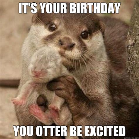 Its Your Birthday You Otter Be Excited Misc Quickmeme