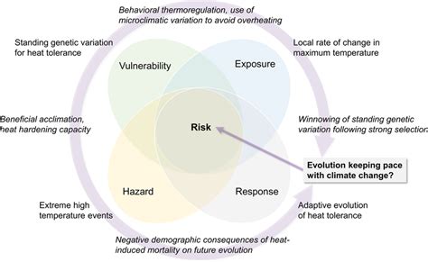 An Illustration Of The Main Factors And Interactions Of Climate Risk