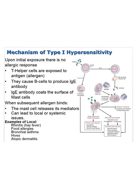 Solution Pathophysiology Hypersensitivity And Its Types Studypool