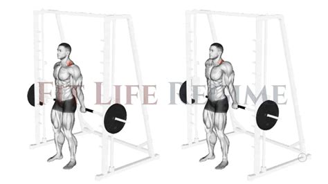 Smith Machine Shrug Muscle Worked Benefits And Alternate