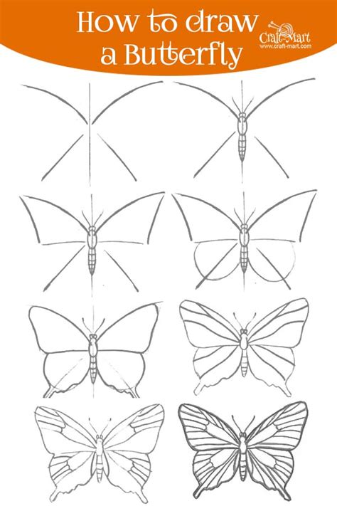 Butterfly How To Draw 8 Steps Craft Mart