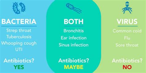 Bacterial Vs Viral Infections The Differences Explained Webmd Davian
