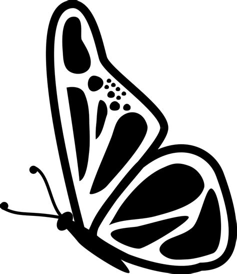 Get Butterfly Vector Art Png