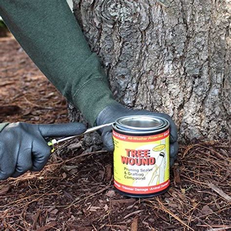 Tanglefoot Tree Wound Pruning Sealer And Grafting Compound Outdoor Womens