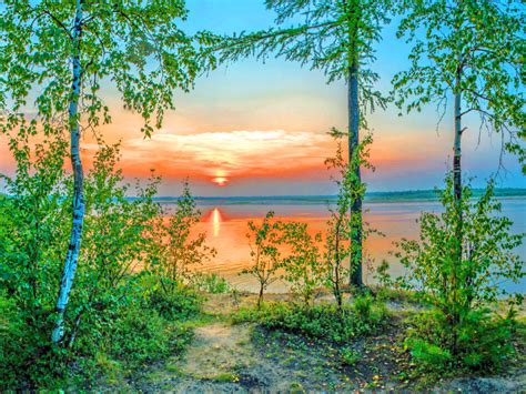 Lake Sunset Birch Trees