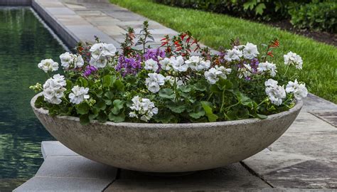 campania international inc zen bowl cast stone pot planter perigold zen planter planters