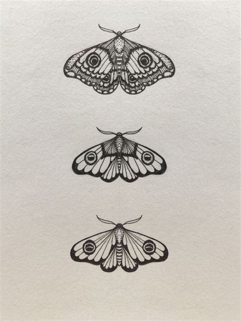 160 Amazing Moth Tattoos Designs With Meaning 2023 Tattoosboygirl