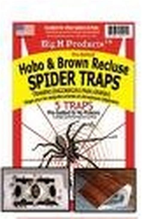 How To Get Rid Of Brown Recluse Spiders Quickly Hunker Brown