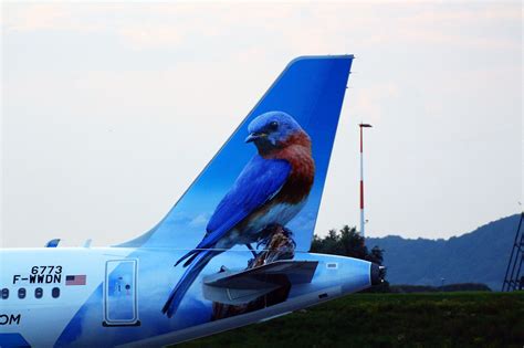 Frontier Airlines Airbus A320 214 N230fr Betty The Bluebird Blue