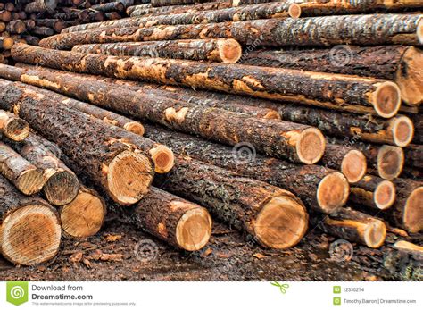 Learn more about the raw materials etex group provides, what the upcoming trends are and get a balanced supply of raw materials. Raw Materials stock photo. Image of building, timber ...