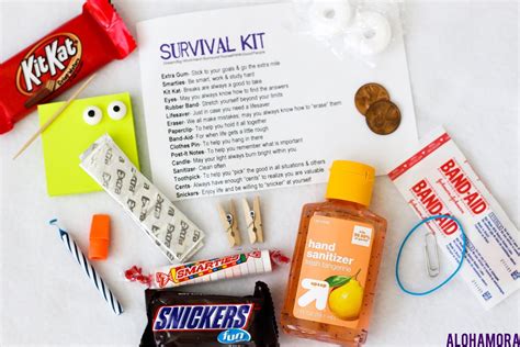 Diy Survival Kit