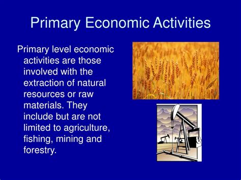 Tertiary Economic Activity Definition Geography / Primary Secondary Tertiary Economic Activities ...