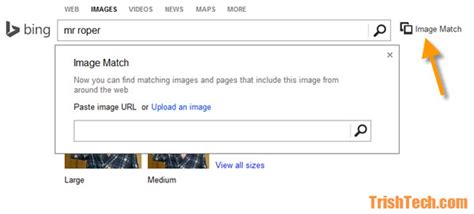 How To Use Bing Image Match To Search For Images