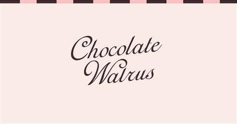 New In Accessories The Chocolate Walrus
